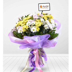 Günün Neşesi Günün Neşesi