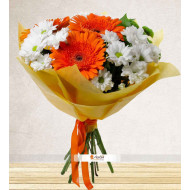 Papatya Gibisin Papatya Gibisin